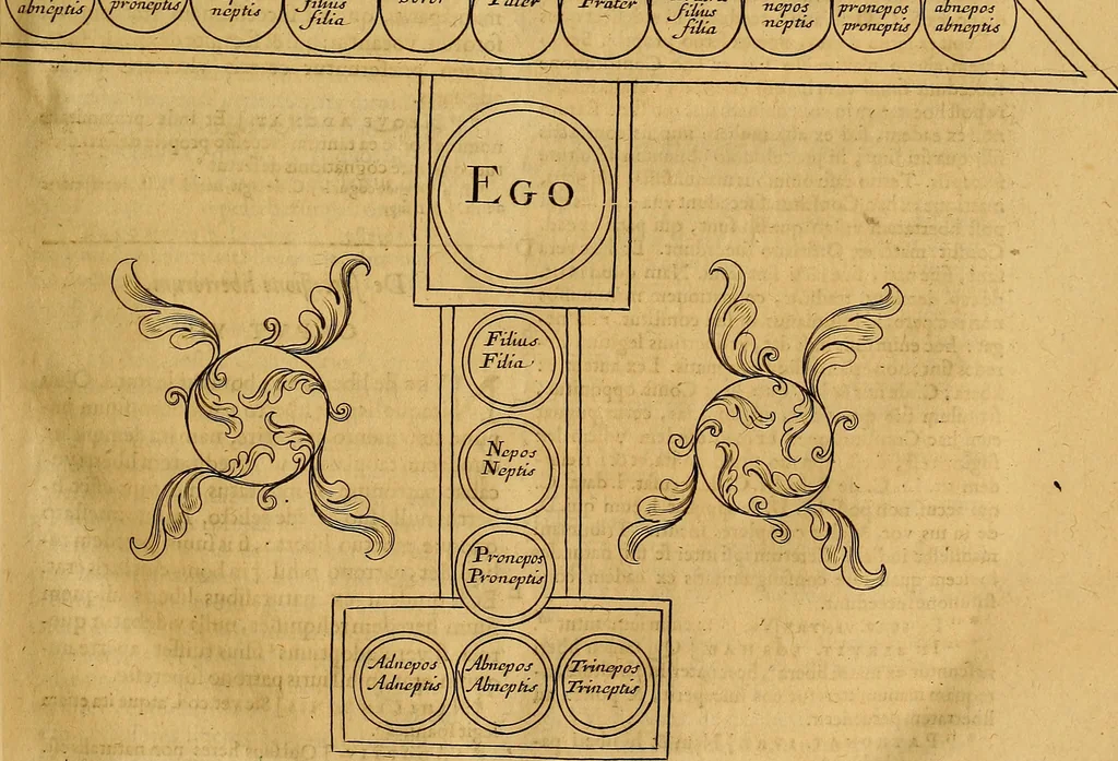 An illustration from Jacobi Cuiacii ic. praestantissimi Opera omnia in decem tomos distributa : quibus continentur tam priora, sive quæ ipse superstes edi curauit; quam posteriora, sive quae post obitum eius edita sunt, vel nunc primum prodeunt, 1658, leaf 172
