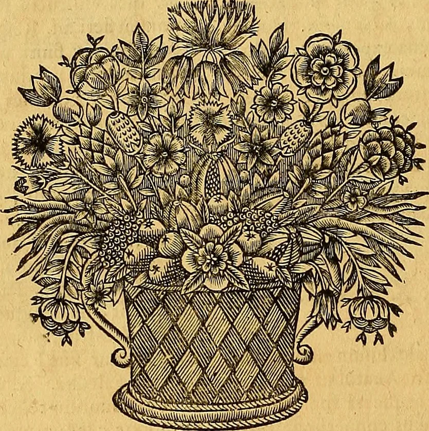 An illustration from Jacobi Cuiacii ic. praestantissimi Opera omnia in decem tomos distributa : quibus continentur tam priora, sive quæ ipse superstes edi curauit; quam posteriora, sive quae post obitum eius edita sunt, vel nunc primum prodeunt, 1658, leaf 359