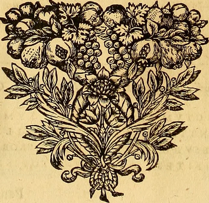 An illustration from Jacobi Cuiacii ic. praestantissimi Opera omnia in decem tomos distributa : quibus continentur tam priora, sive quæ ipse superstes edi curauit; quam posteriora, sive quae post obitum eius edita sunt, vel nunc primum prodeunt, 1658, leaf 49
