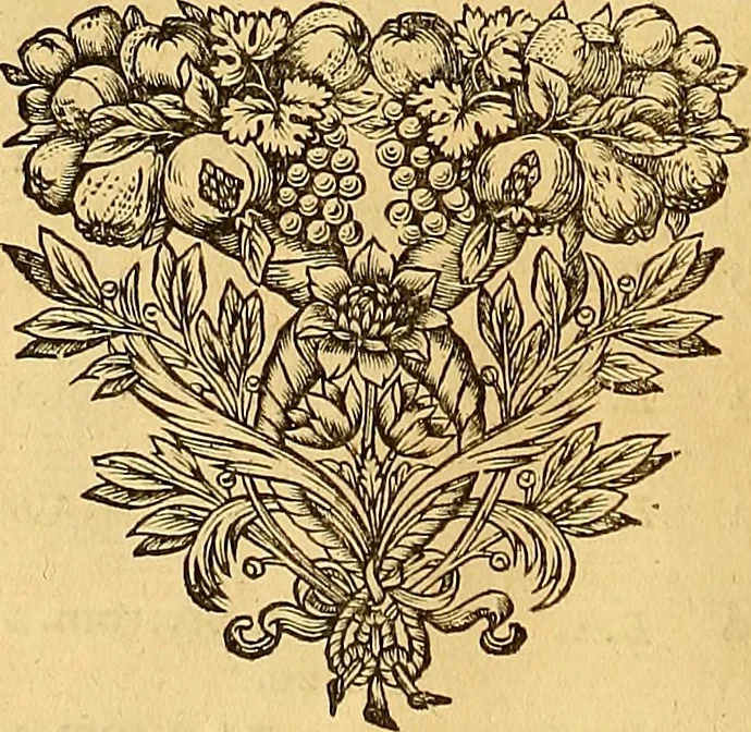 An illustration from Jacobi Cuiacii ic. praestantissimi Opera omnia in decem tomos distributa : quibus continentur tam priora, sive quæ ipse superstes edi curauit; quam posteriora, sive quae post obitum eius edita sunt, vel nunc primum prodeunt, 1658, leaf 77