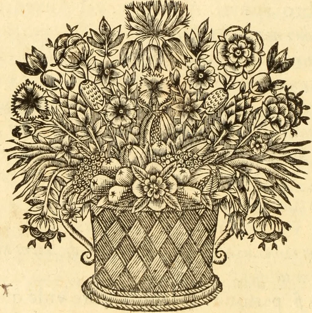 An illustration from Jacobi Cuiacii ic. praestantissimi Opera omnia in decem tomos distributa : quibus continentur tam priora, sive quæ ipse superstes edi curauit; quam posteriora, sive quae post obitum eius edita sunt, vel nunc primum prodeunt, 1658, leaf 31