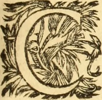 An illustration from Jacobi Cuiacii ic. praestantissimi Opera omnia in decem tomos distributa : quibus continentur tam priora, sive quæ ipse superstes edi curauit; quam posteriora, sive quae post obitum eius edita sunt, vel nunc primum prodeunt, 1658, leaf 310