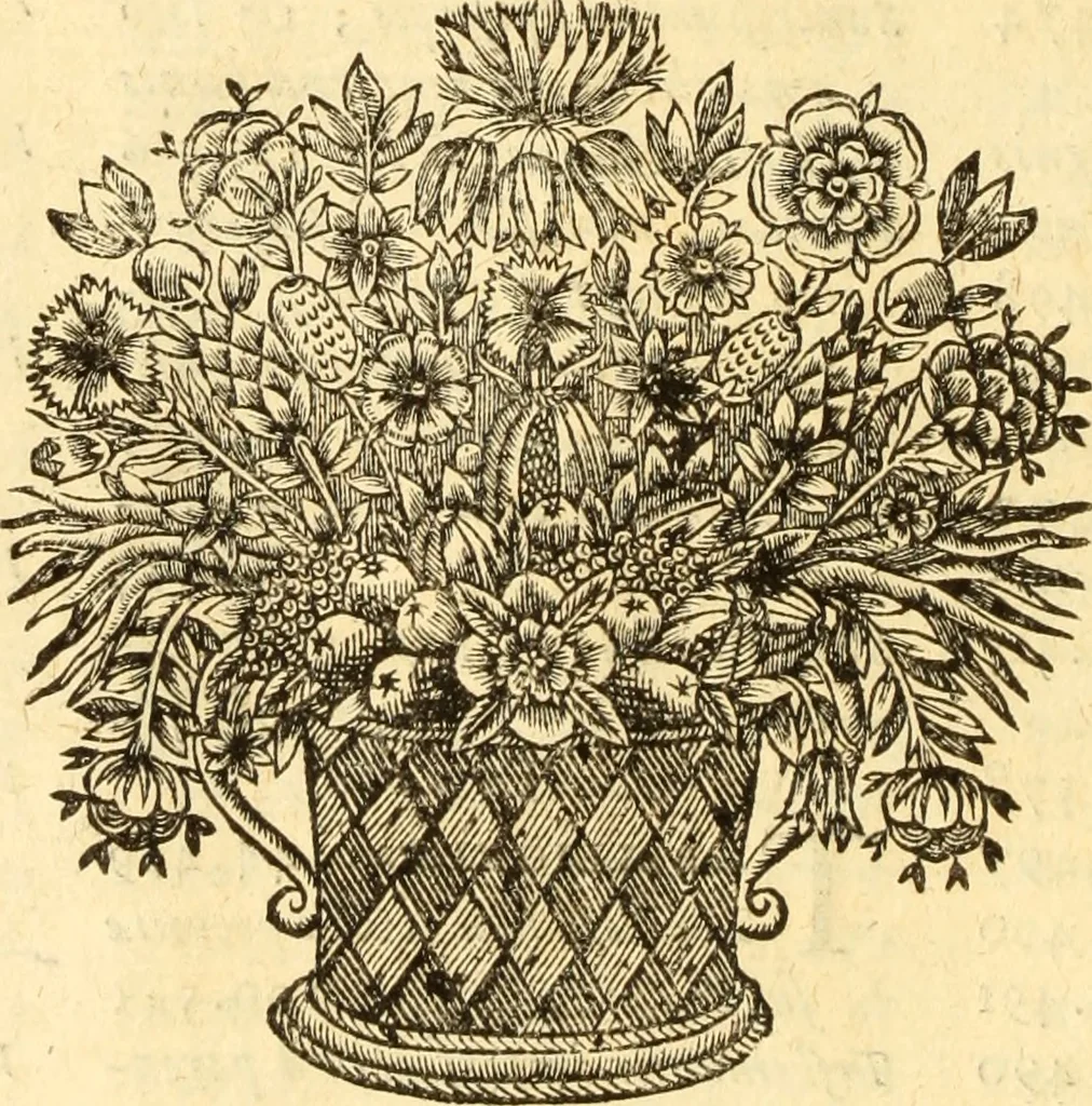 An illustration from Jacobi Cuiacii ic. praestantissimi Opera omnia in decem tomos distributa : quibus continentur tam priora, sive quæ ipse superstes edi curauit; quam posteriora, sive quae post obitum eius edita sunt, vel nunc primum prodeunt, 1658, leaf 379