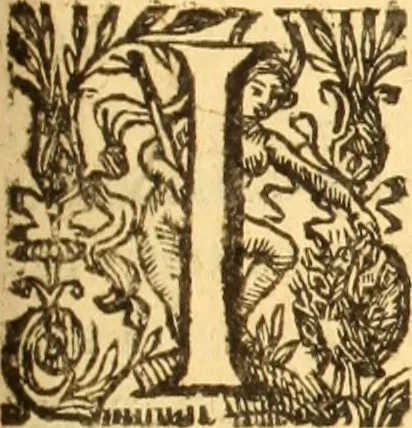An illustration from Jacobi Cuiacii ic. praestantissimi Opera omnia in decem tomos distributa : quibus continentur tam priora, sive quæ ipse superstes edi curauit; quam posteriora, sive quae post obitum eius edita sunt, vel nunc primum prodeunt, 1658, leaf 384