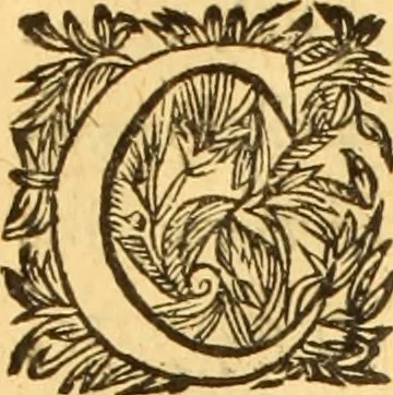 An illustration from Jacobi Cuiacii ic. praestantissimi Opera omnia in decem tomos distributa : quibus continentur tam priora, sive quæ ipse superstes edi curauit; quam posteriora, sive quae post obitum eius edita sunt, vel nunc primum prodeunt, 1658, leaf 591
