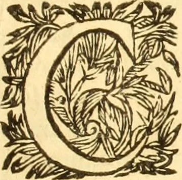 An illustration from Jacobi Cuiacii ic. praestantissimi Opera omnia in decem tomos distributa : quibus continentur tam priora, sive quæ ipse superstes edi curauit; quam posteriora, sive quae post obitum eius edita sunt, vel nunc primum prodeunt, 1658, leaf 726