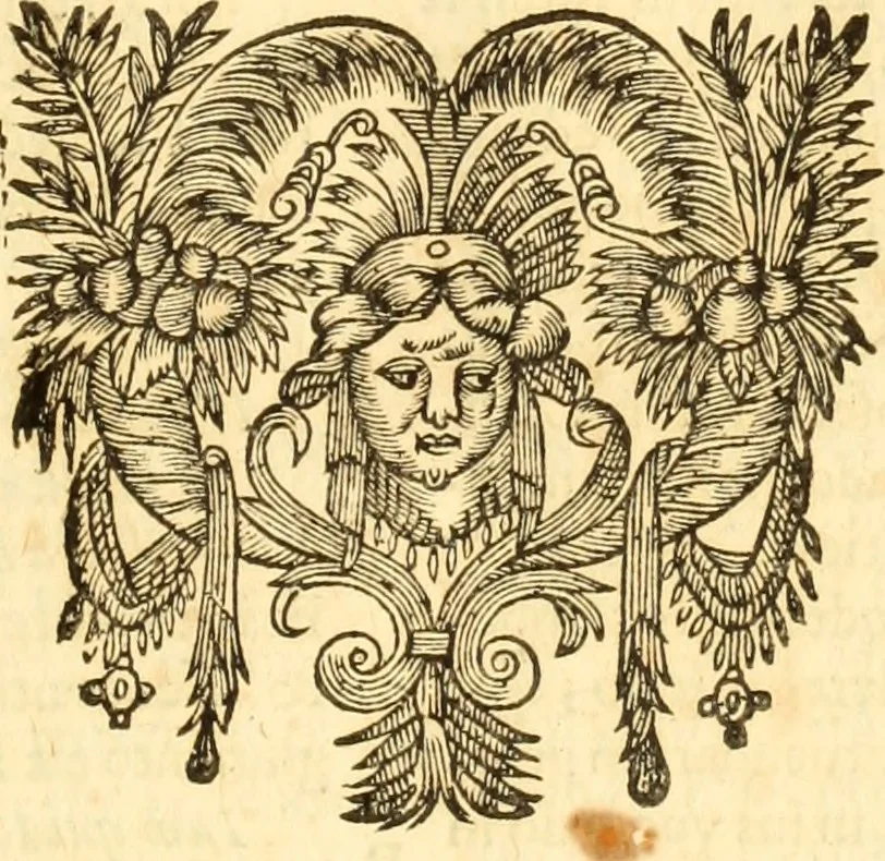 An illustration from Jacobi Cuiacii ic. praestantissimi Opera omnia in decem tomos distributa : quibus continentur tam priora, sive quæ ipse superstes edi curauit; quam posteriora, sive quae post obitum eius edita sunt, vel nunc primum prodeunt, 1658, leaf 80