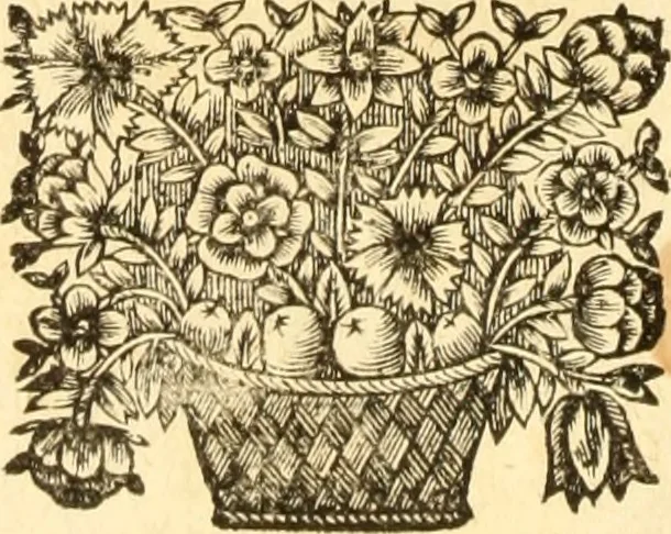 An illustration from Jacobi Cuiacii ic. praestantissimi Opera omnia in decem tomos distributa : quibus continentur tam priora, sive quæ ipse superstes edi curauit; quam posteriora, sive quae post obitum eius edita sunt, vel nunc primum prodeunt, 1658, leaf 9