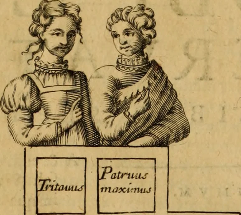 An illustration from Jacobi Cuiacii ic. praestantissimi Opera omnia in decem tomos distributa : quibus continentur tam priora, sive quæ ipse superstes edi curauit; quam posteriora, sive quae post obitum eius edita sunt, vel nunc primum prodeunt, 1658, leaf 114