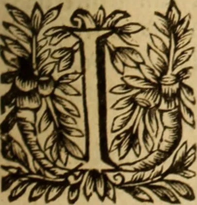 An illustration from Jacobi Cuiacii ic. praestantissimi Opera omnia in decem tomos distributa : quibus continentur tam priora, sive quæ ipse superstes edi curauit; quam posteriora, sive quae post obitum eius edita sunt, vel nunc primum prodeunt, 1658, leaf 160