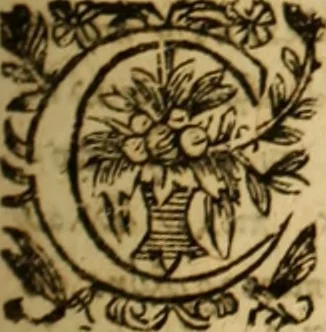 An illustration from Jacobi Cuiacii ic. praestantissimi Opera omnia in decem tomos distributa : quibus continentur tam priora, sive quæ ipse superstes edi curauit; quam posteriora, sive quae post obitum eius edita sunt, vel nunc primum prodeunt, 1658, leaf 202
