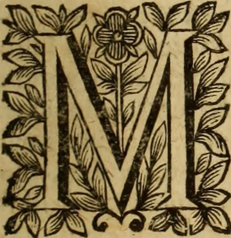 An illustration from Jacobi Cuiacii ic. praestantissimi Opera omnia in decem tomos distributa : quibus continentur tam priora, sive quæ ipse superstes edi curauit; quam posteriora, sive quae post obitum eius edita sunt, vel nunc primum prodeunt, 1658, leaf 24
