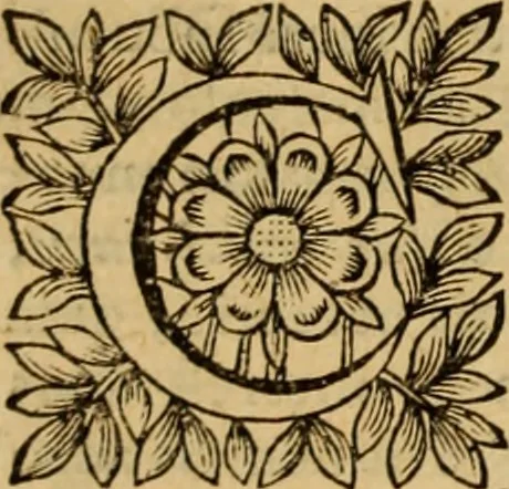 An illustration from Jacobi Cuiacii ic. praestantissimi Opera omnia in decem tomos distributa : quibus continentur tam priora, sive quæ ipse superstes edi curauit; quam posteriora, sive quae post obitum eius edita sunt, vel nunc primum prodeunt, 1658, leaf 253
