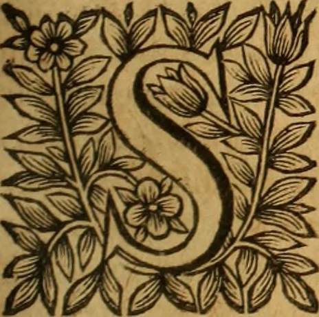 An illustration from Jacobi Cuiacii ic. praestantissimi Opera omnia in decem tomos distributa : quibus continentur tam priora, sive quæ ipse superstes edi curauit; quam posteriora, sive quae post obitum eius edita sunt, vel nunc primum prodeunt, 1658, leaf 316