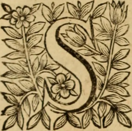 An illustration from Jacobi Cuiacii ic. praestantissimi Opera omnia in decem tomos distributa : quibus continentur tam priora, sive quæ ipse superstes edi curauit; quam posteriora, sive quae post obitum eius edita sunt, vel nunc primum prodeunt, 1658, leaf 37