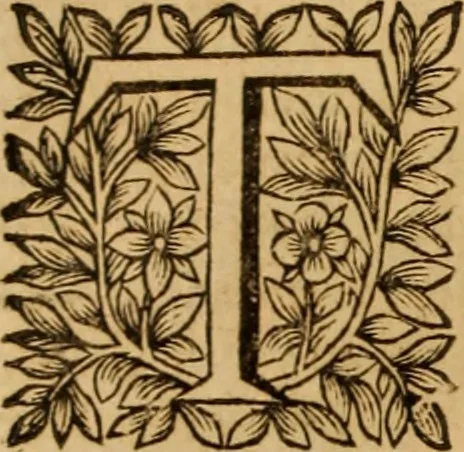 An illustration from Jacobi Cuiacii ic. praestantissimi Opera omnia in decem tomos distributa : quibus continentur tam priora, sive quæ ipse superstes edi curauit; quam posteriora, sive quae post obitum eius edita sunt, vel nunc primum prodeunt, 1658, leaf 437
