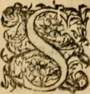 An illustration from Jacobi Cuiacii ic. praestantissimi Opera omnia in decem tomos distributa : quibus continentur tam priora, sive quæ ipse superstes edi curauit; quam posteriora, sive quae post obitum eius edita sunt, vel nunc primum prodeunt, 1658, leaf 99