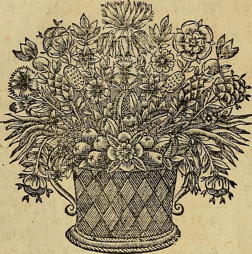 An illustration from Jacobi Cuiacii ic. praestantissimi Opera omnia in decem tomos distributa : quibus continentur tam priora, sive quæ ipse superstes edi curauit; quam posteriora, sive quae post obitum eius edita sunt, vel nunc primum prodeunt, 1658, leaf 11