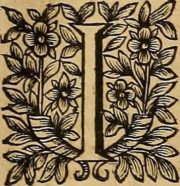 An illustration from Jacobi Cuiacii ic. praestantissimi Opera omnia in decem tomos distributa : quibus continentur tam priora, sive quæ ipse superstes edi curauit; quam posteriora, sive quae post obitum eius edita sunt, vel nunc primum prodeunt, 1658, leaf 753