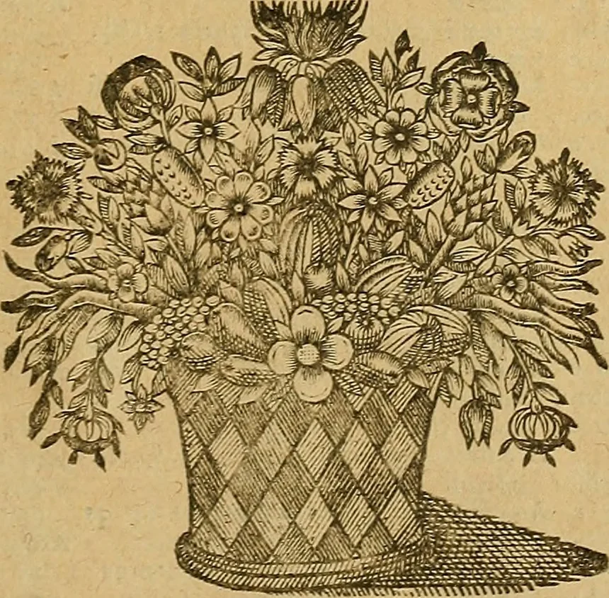 An illustration from Jacobi Cuiacii ic. praestantissimi Opera omnia in decem tomos distributa : quibus continentur tam priora, sive quæ ipse superstes edi curauit; quam posteriora, sive quae post obitum eius edita sunt, vel nunc primum prodeunt, 1658, leaf 796