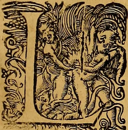 An illustration from Jacobi Cuiacii ic. praestantissimi Opera omnia in decem tomos distributa : quibus continentur tam priora, sive quæ ipse superstes edi curauit; quam posteriora, sive quae post obitum eius edita sunt, vel nunc primum prodeunt, 1658, leaf 264