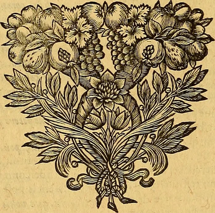 An illustration from Jacobi Cuiacii ic. praestantissimi Opera omnia in decem tomos distributa : quibus continentur tam priora, sive quæ ipse superstes edi curauit; quam posteriora, sive quae post obitum eius edita sunt, vel nunc primum prodeunt, 1658, leaf 429