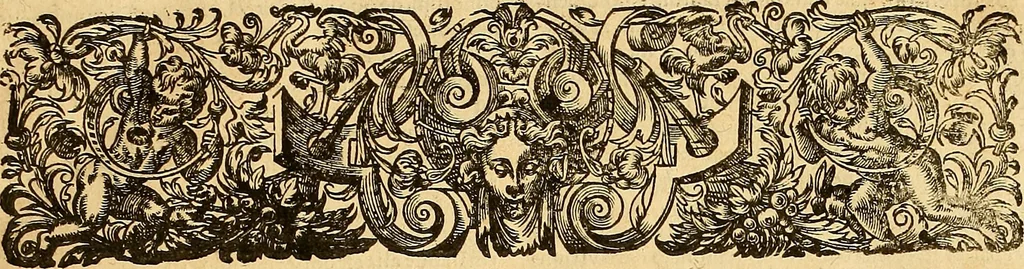 An illustration from Jacobi Cuiacii ic. praestantissimi Opera omnia in decem tomos distributa : quibus continentur tam priora, sive quæ ipse superstes edi curauit; quam posteriora, sive quae post obitum eius edita sunt, vel nunc primum prodeunt, 1658, leaf 20
