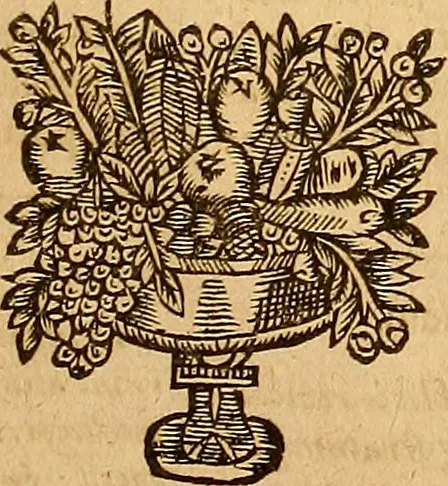An illustration from Jacobi Cuiacii ic. praestantissimi Opera omnia in decem tomos distributa : quibus continentur tam priora, sive quæ ipse superstes edi curauit; quam posteriora, sive quae post obitum eius edita sunt, vel nunc primum prodeunt, 1658, leaf 480