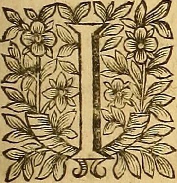 An illustration from Jacobi Cuiacii ic. praestantissimi Opera omnia in decem tomos distributa : quibus continentur tam priora, sive quæ ipse superstes edi curauit; quam posteriora, sive quae post obitum eius edita sunt, vel nunc primum prodeunt, 1658, leaf 504