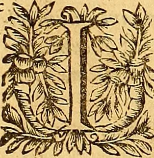 An illustration from Jacobi Cuiacii ic. praestantissimi Opera omnia in decem tomos distributa : quibus continentur tam priora, sive quæ ipse superstes edi curauit; quam posteriora, sive quae post obitum eius edita sunt, vel nunc primum prodeunt, 1658, leaf 505
