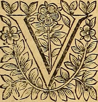 An illustration from Jacobi Cuiacii ic. praestantissimi Opera omnia in decem tomos distributa : quibus continentur tam priora, sive quæ ipse superstes edi curauit; quam posteriora, sive quae post obitum eius edita sunt, vel nunc primum prodeunt, 1658, leaf 640