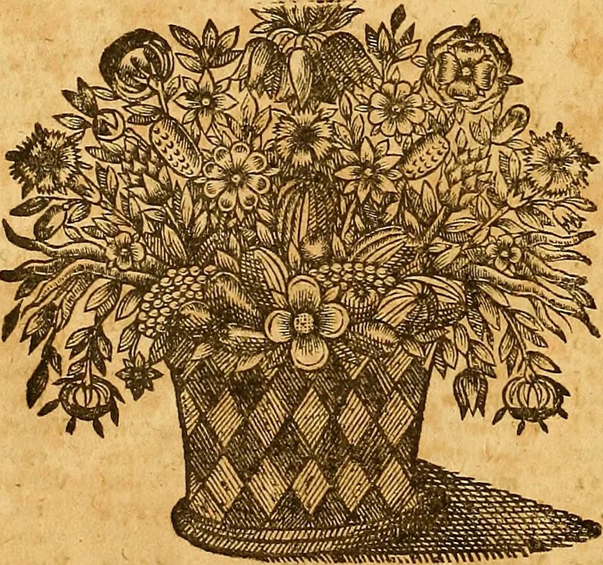 An illustration from Jacobi Cuiacii ic. praestantissimi Opera omnia in decem tomos distributa : quibus continentur tam priora, sive quæ ipse superstes edi curauit; quam posteriora, sive quae post obitum eius edita sunt, vel nunc primum prodeunt, 1658, leaf 699