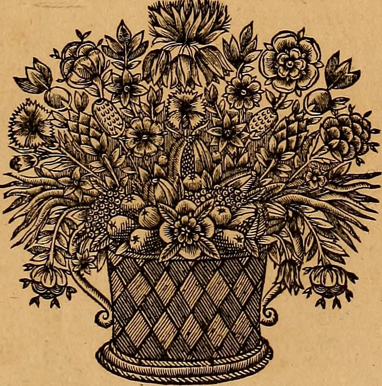 An illustration from Jacobi Cuiacii ic. praestantissimi Opera omnia in decem tomos distributa : quibus continentur tam priora, sive quæ ipse superstes edi curauit; quam posteriora, sive quae post obitum eius edita sunt, vel nunc primum prodeunt, 1658, leaf 30