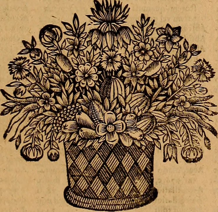 An illustration from Jacobi Cuiacii ic. praestantissimi Opera omnia in decem tomos distributa : quibus continentur tam priora, sive quæ ipse superstes edi curauit; quam posteriora, sive quae post obitum eius edita sunt, vel nunc primum prodeunt, 1658, leaf 804