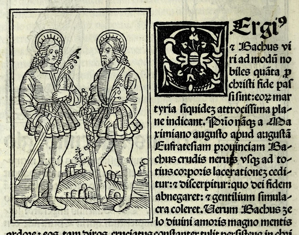 An illustration from Jacobi Gualle jureconsulti Papie sanctuarium, 1505, leaf 140