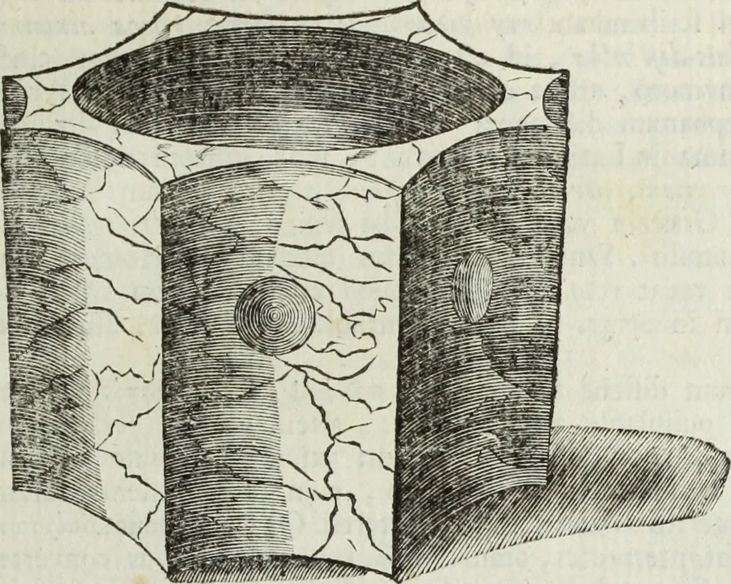 An illustration from Jacobi Martorellii Neapolitani De regia theca calamaria in regia academia litterarum Graecarum professoris sive melanodocheioi ejusque ornamentis, 1756, leaf 128