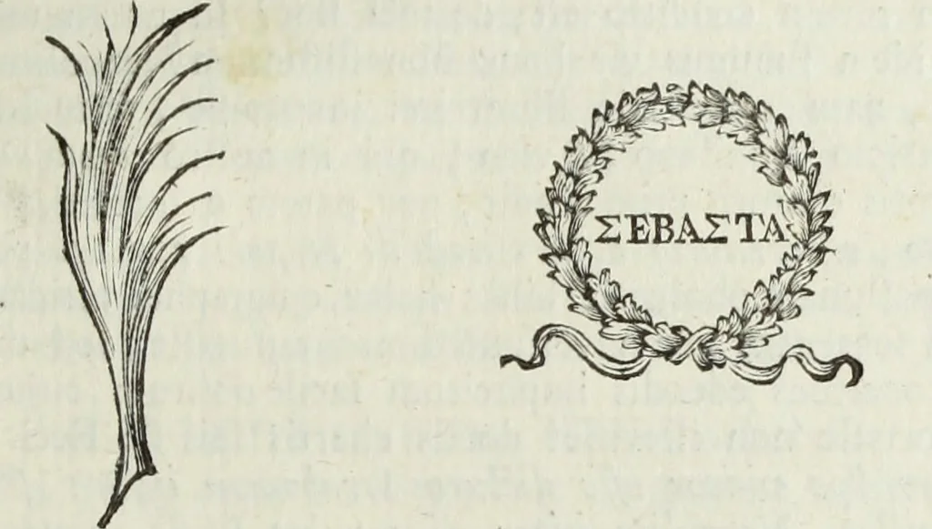 An illustration from Jacobi Martorellii Neapolitani De regia theca calamaria in regia academia litterarum Graecarum professoris sive melanodocheioi ejusque ornamentis, 1756, leaf 240