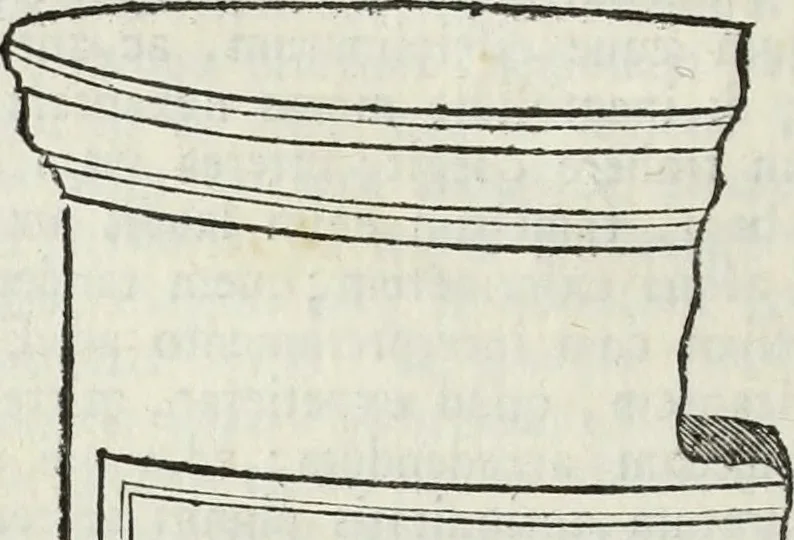 An illustration from Jacobi Martorellii Neapolitani De regia theca calamaria in regia academia litterarum Graecarum professoris sive melanodocheioi ejusque ornamentis, 1756, leaf 361