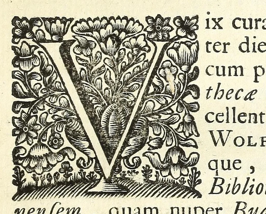 An illustration from Jacobi Tollii epistolae itinerariae : ex auctoris schedis postumis recensitae, suppletae, digestae : annotationibus, observationibus & figuris adornatae, 1700, leaf 133