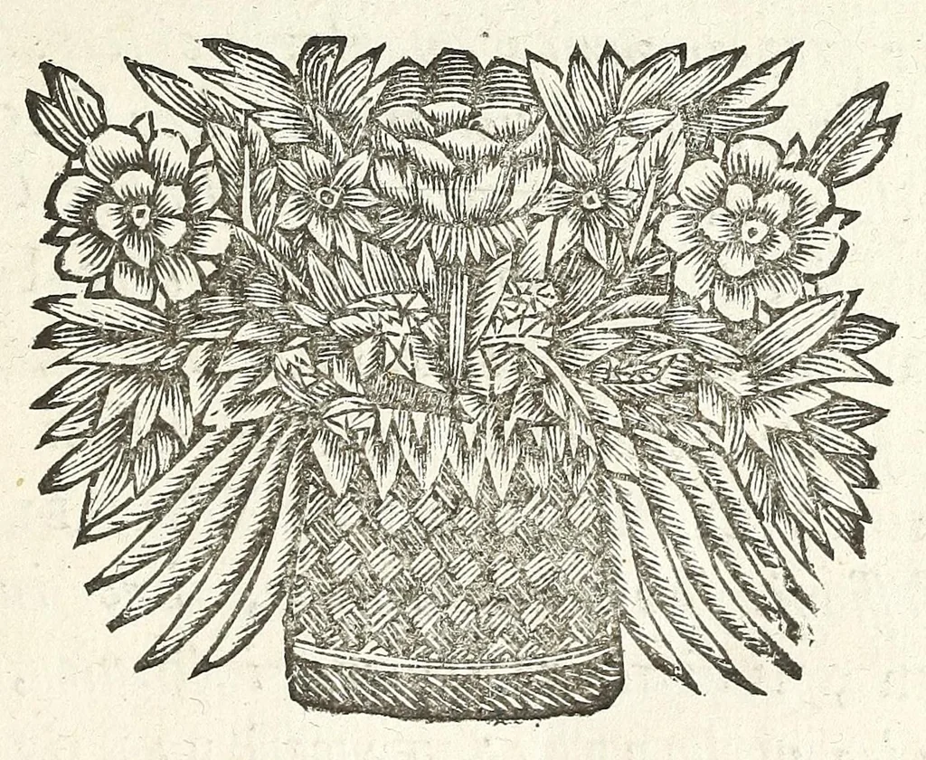 An illustration from Jacobi Tollii epistolae itinerariae : ex auctoris schedis postumis recensitae, suppletae, digestae : annotationibus, observationibus & figuris adornatae, 1700, leaf 17