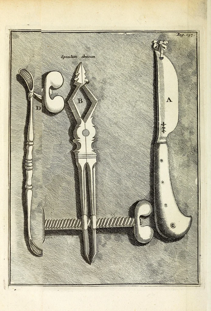 An illustration from Jacobi Tollii epistolae itinerariae : ex auctoris schedis postumis recensitae, suppletae, digestae : annotationibus, observationibus & figuris adornatae, 1700, leaf 172