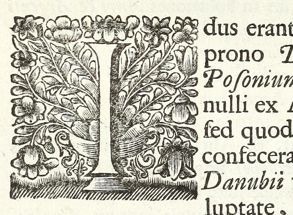 An illustration from Jacobi Tollii epistolae itinerariae : ex auctoris schedis postumis recensitae, suppletae, digestae : annotationibus, observationibus & figuris adornatae, 1700, leaf 178