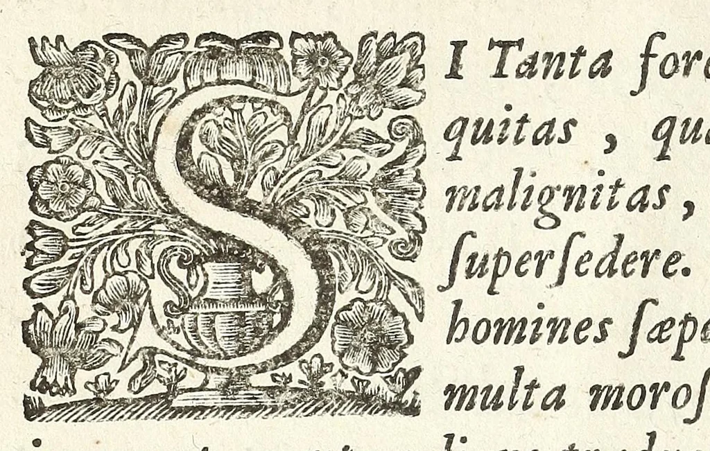 An illustration from Jacobi Tollii epistolae itinerariae : ex auctoris schedis postumis recensitae, suppletae, digestae : annotationibus, observationibus & figuris adornatae, 1700, leaf 18