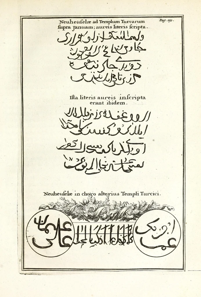 An illustration from Jacobi Tollii epistolae itinerariae : ex auctoris schedis postumis recensitae, suppletae, digestae : annotationibus, observationibus & figuris adornatae, 1700, leaf 195