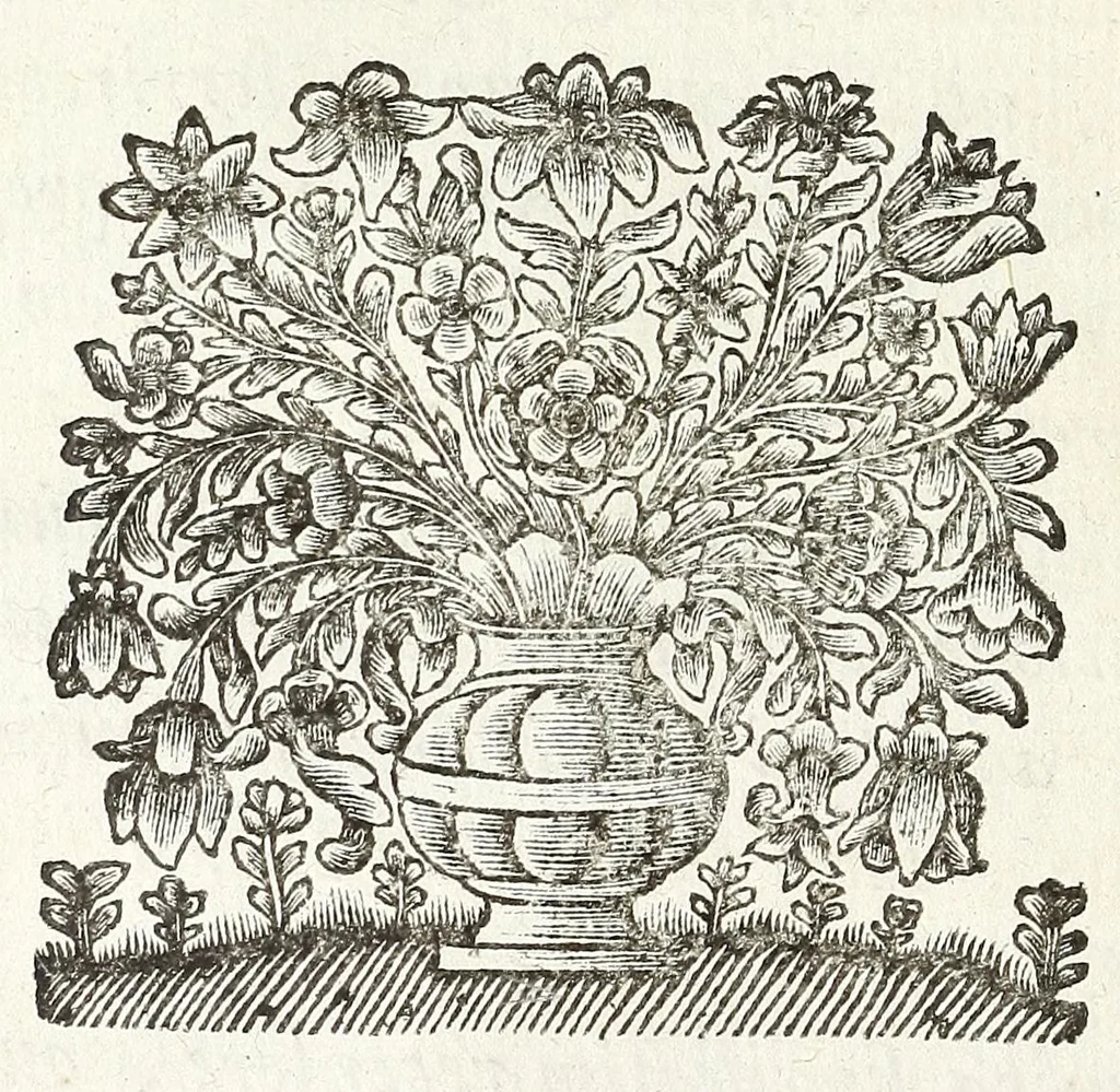 An illustration from Jacobi Tollii epistolae itinerariae : ex auctoris schedis postumis recensitae, suppletae, digestae : annotationibus, observationibus & figuris adornatae, 1700, leaf 22