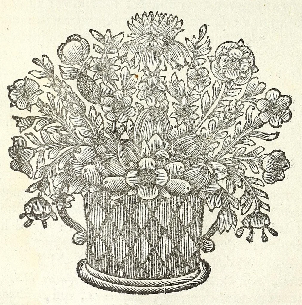 An illustration from Jacobi Tollii epistolae itinerariae : ex auctoris schedis postumis recensitae, suppletae, digestae : annotationibus, observationibus & figuris adornatae, 1700, leaf 292