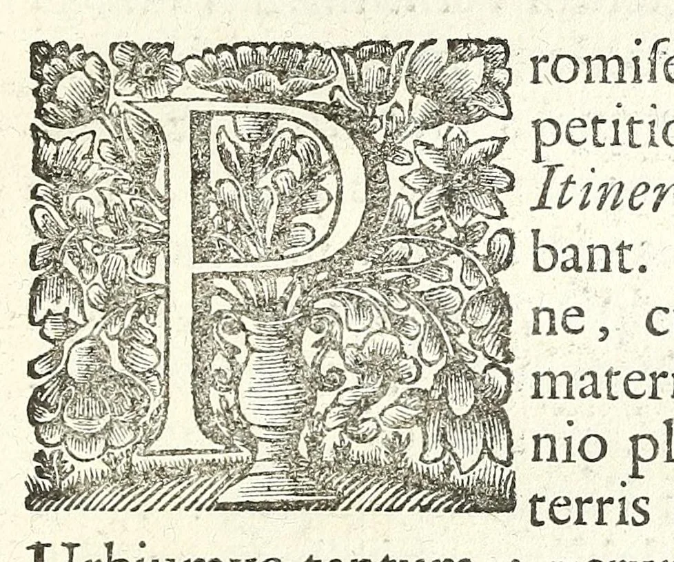 An illustration from Jacobi Tollii epistolae itinerariae : ex auctoris schedis postumis recensitae, suppletae, digestae : annotationibus, observationibus & figuris adornatae, 1700, leaf 293