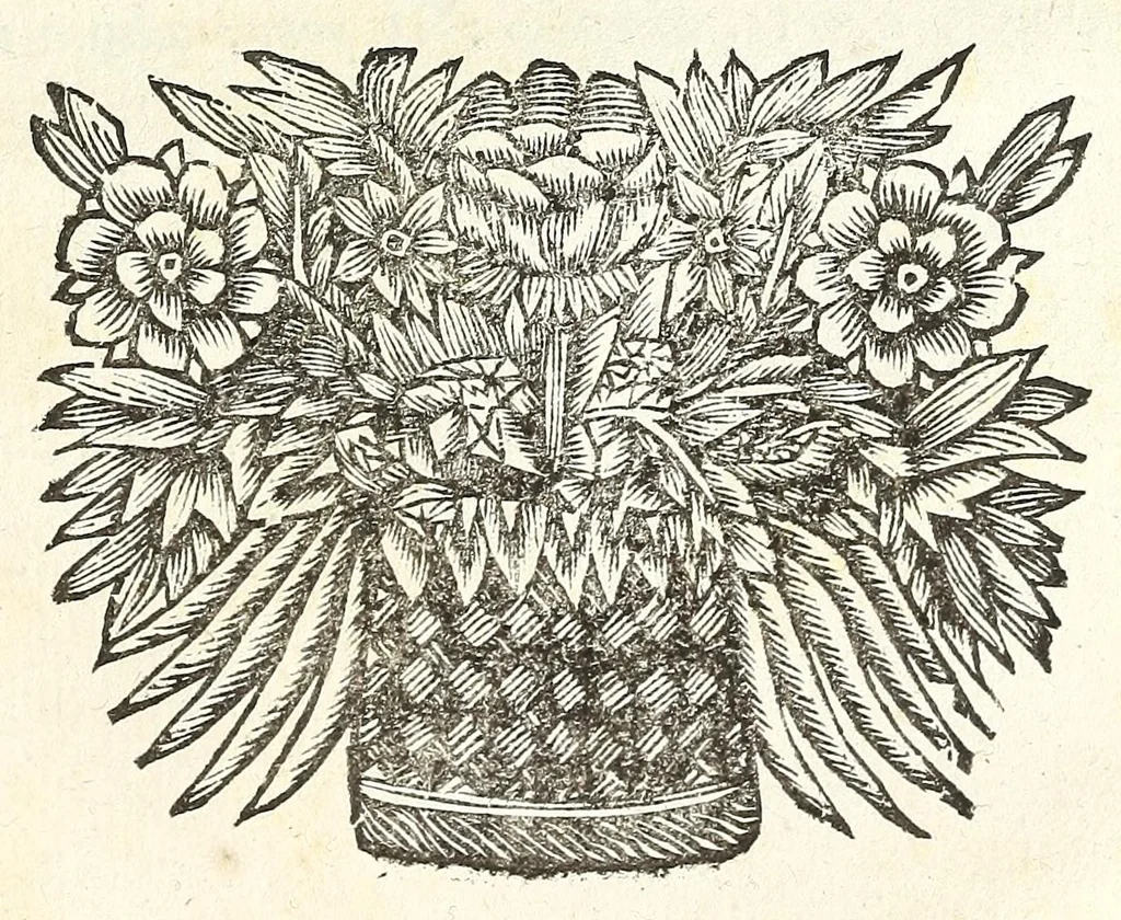 An illustration from Jacobi Tollii epistolae itinerariae : ex auctoris schedis postumis recensitae, suppletae, digestae : annotationibus, observationibus & figuris adornatae, 1700, leaf 329