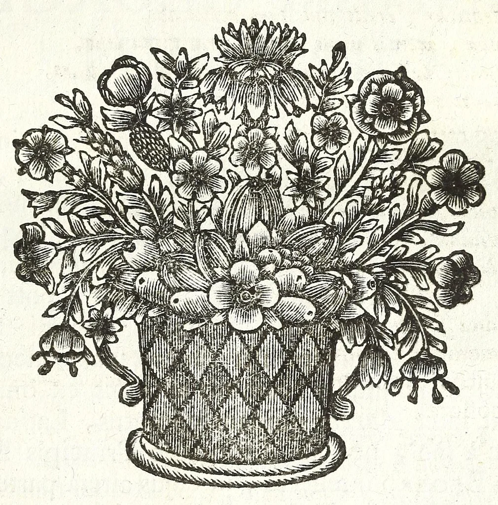 An illustration from Jacobi Tollii epistolae itinerariae : ex auctoris schedis postumis recensitae, suppletae, digestae : annotationibus, observationibus & figuris adornatae, 1700, leaf 71