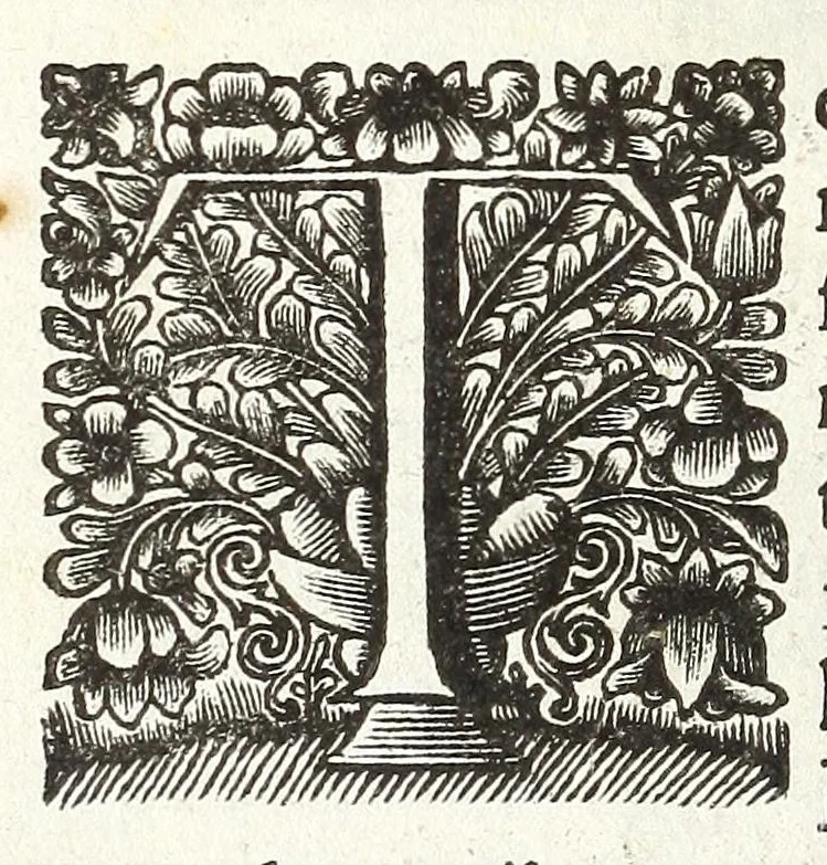 An illustration from Jacobi Tollii epistolae itinerariae : ex auctoris schedis postumis recensitae, suppletae, digestae : annotationibus, observationibus & figuris adornatae, 1700, leaf 72
